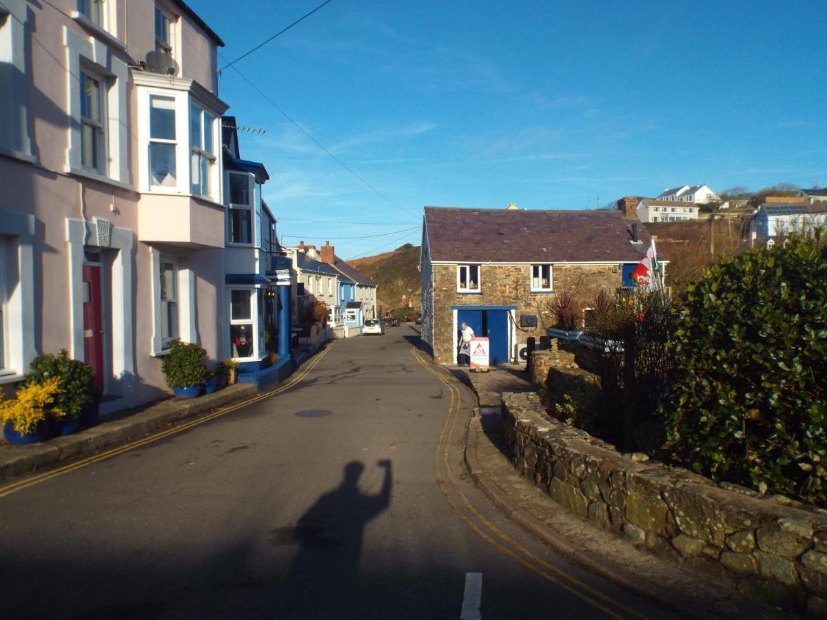 Pendyffryn Manor Bed & Breakfast Little Haven ภายนอก รูปภาพ